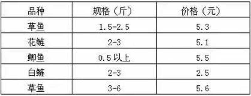鳊魚最新行情，躍升的機(jī)會(huì)與挑戰(zhàn)與行情分析