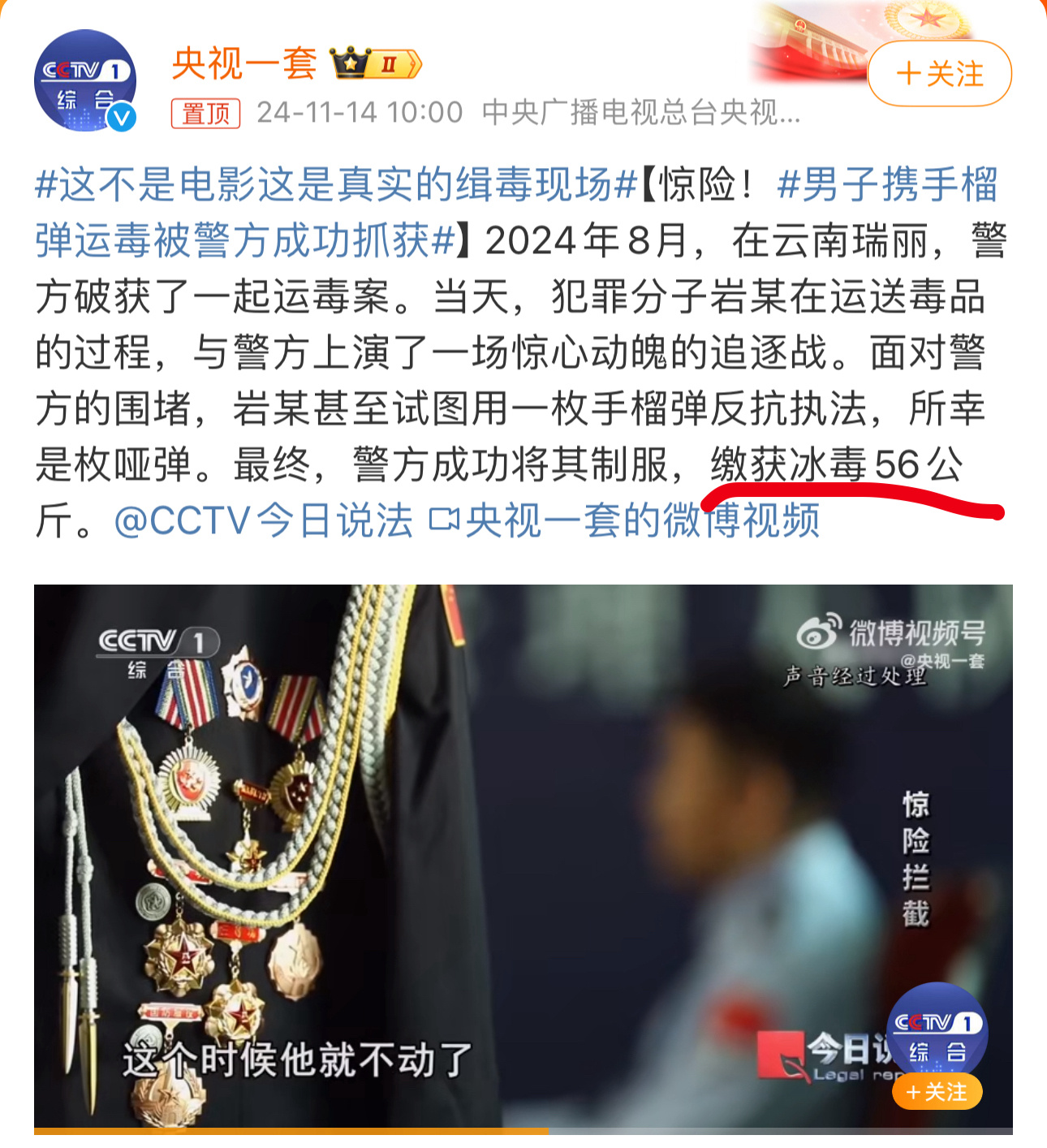 最新緝毒案，心靈與自然的驚險之旅